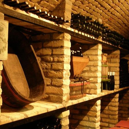 Hotel Borbarátok Panzió Badacsonytomaj Esterno foto